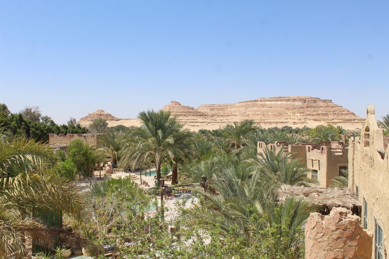 سيوة